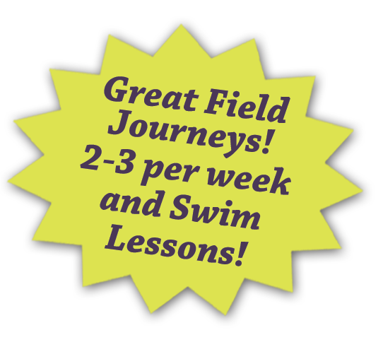 Stepping Stone School Summer Camp - Field Journeys and Swim Lessons