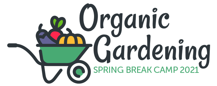 2021 Spring Break Camp Logo