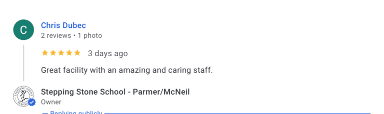 Preschool Review for Stepping Stone School Parmer