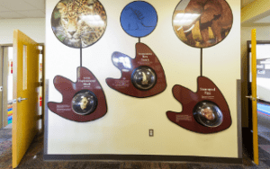 Display wall with dinosaur bones