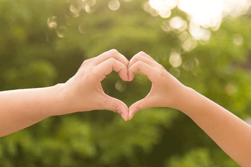 Hands forming a heart shape against a green blurred background.