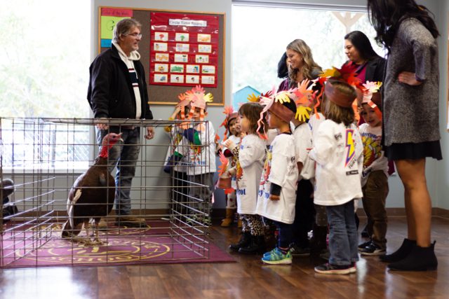 Children in a classroom observing a turkey in a cage during a school activity.