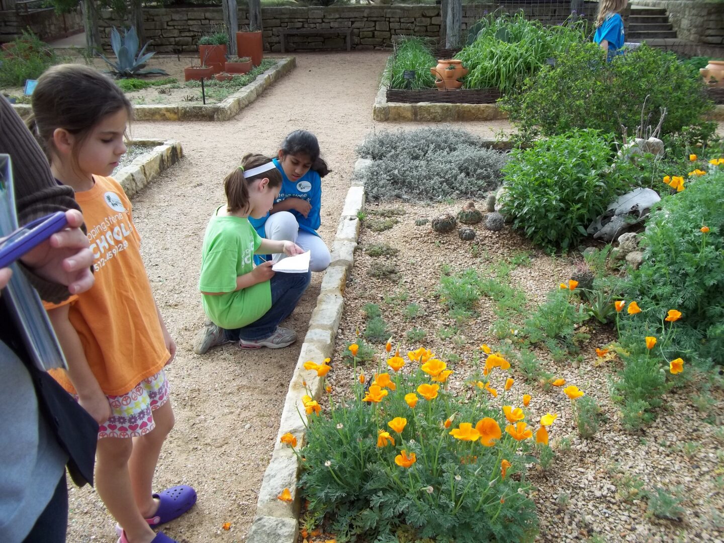 Children exploring a garden with yellow flowers and taking notes