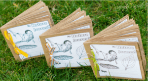 Nature Journals Stepping Stone School