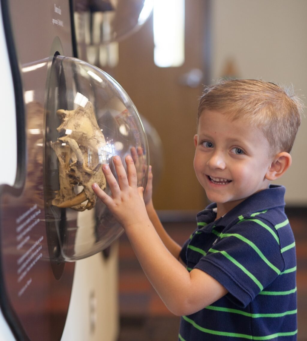 Smiling child explores a skull exhibit in a museum display.