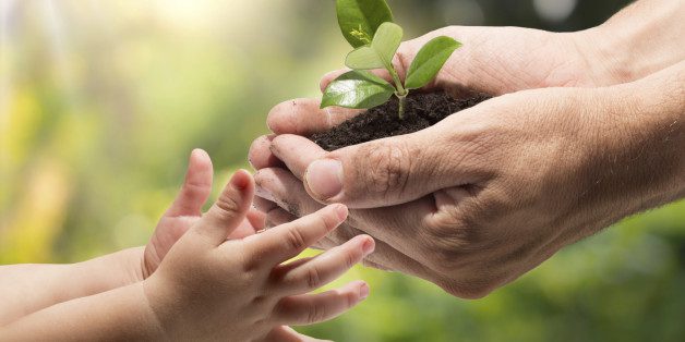 Hands holding a seedling with soil shared with a child in a garden setting