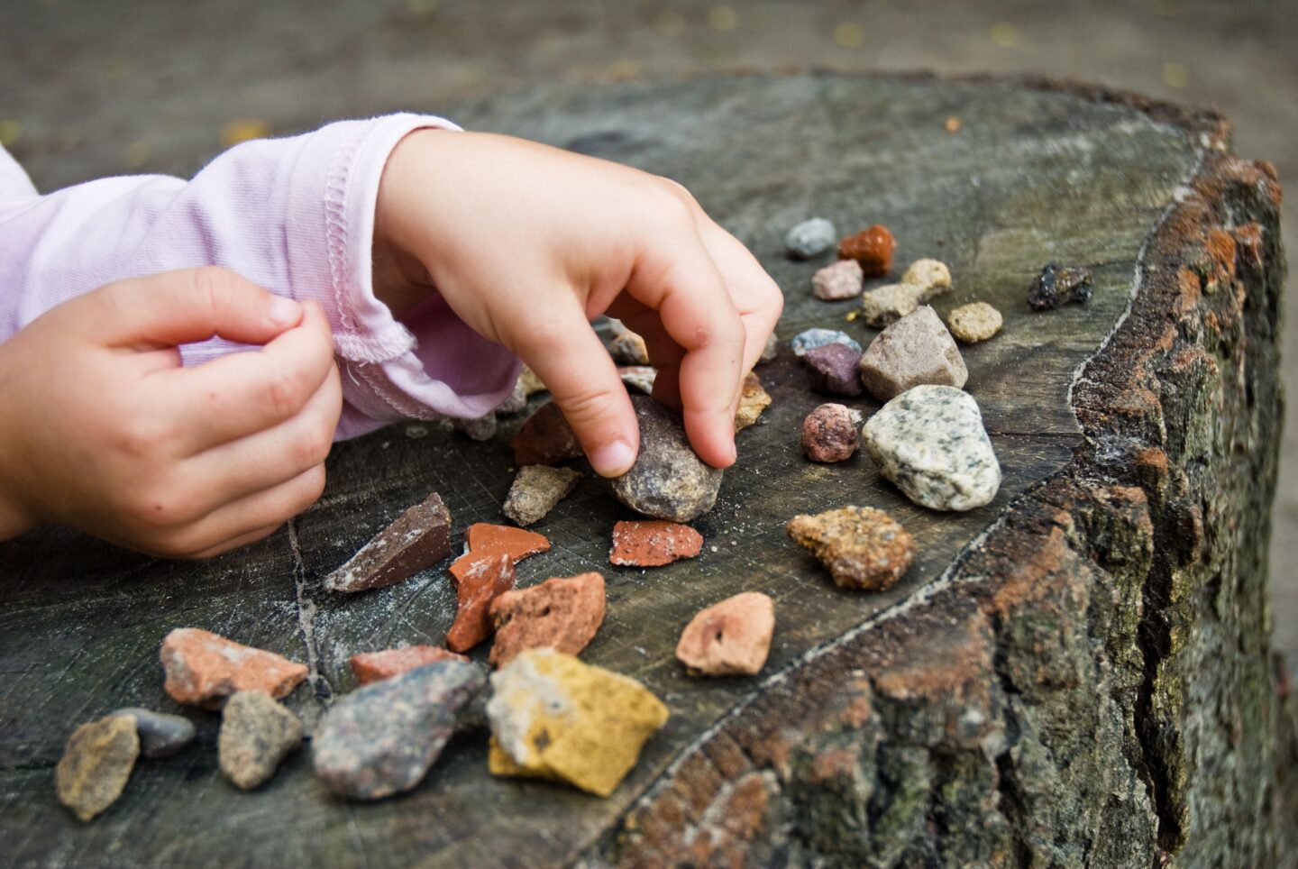 Child playing with colorful rocks on a tree stump
